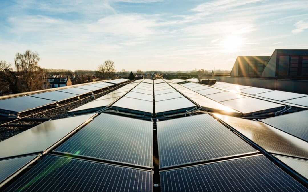 Nova col•laboració: Consolar